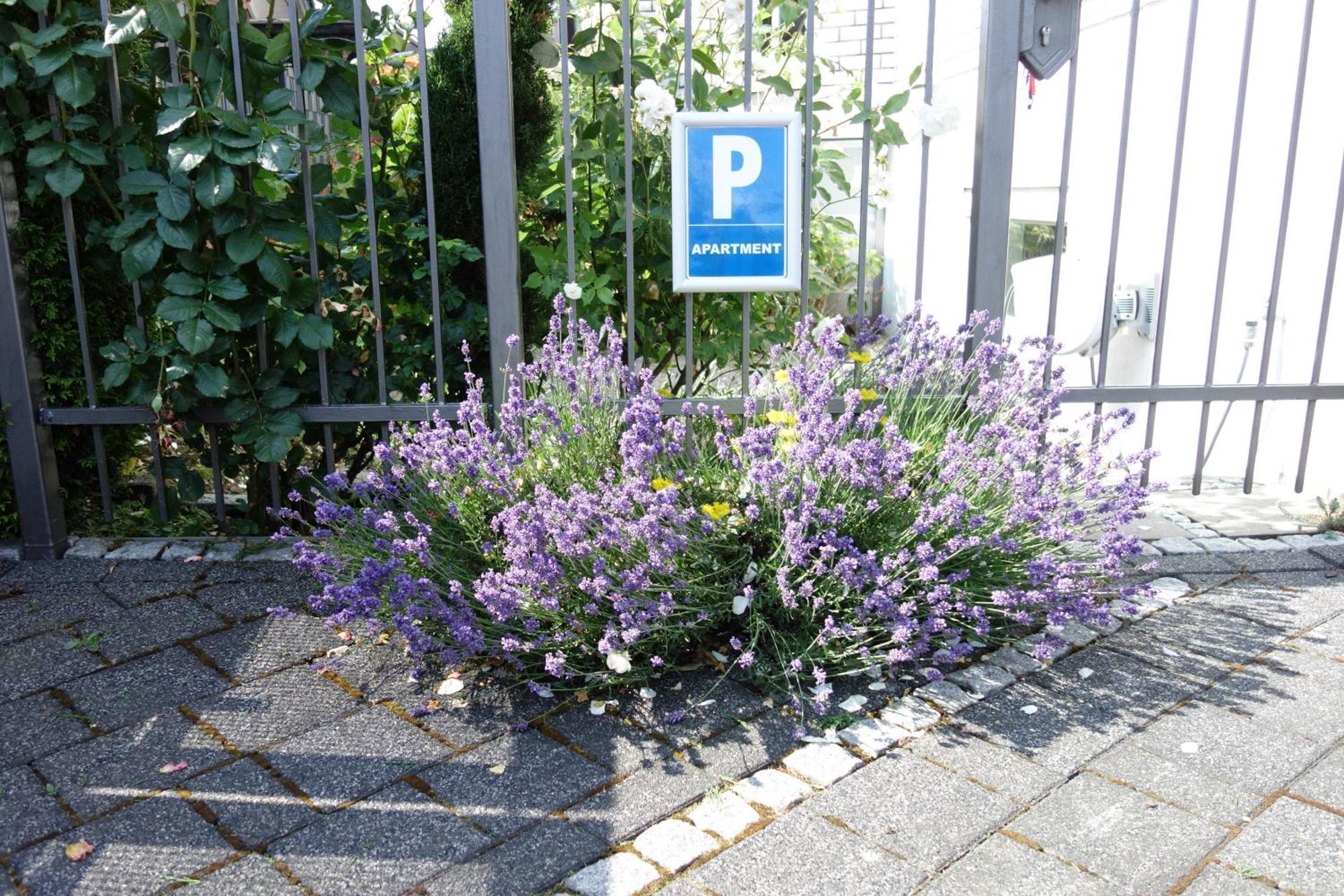 Fewo Emma Overath Kültér fotó